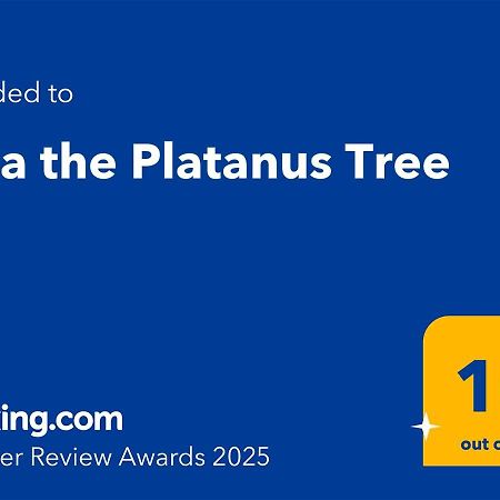 Villa The Platanus Tree Kato Vasiliki Exterior photo